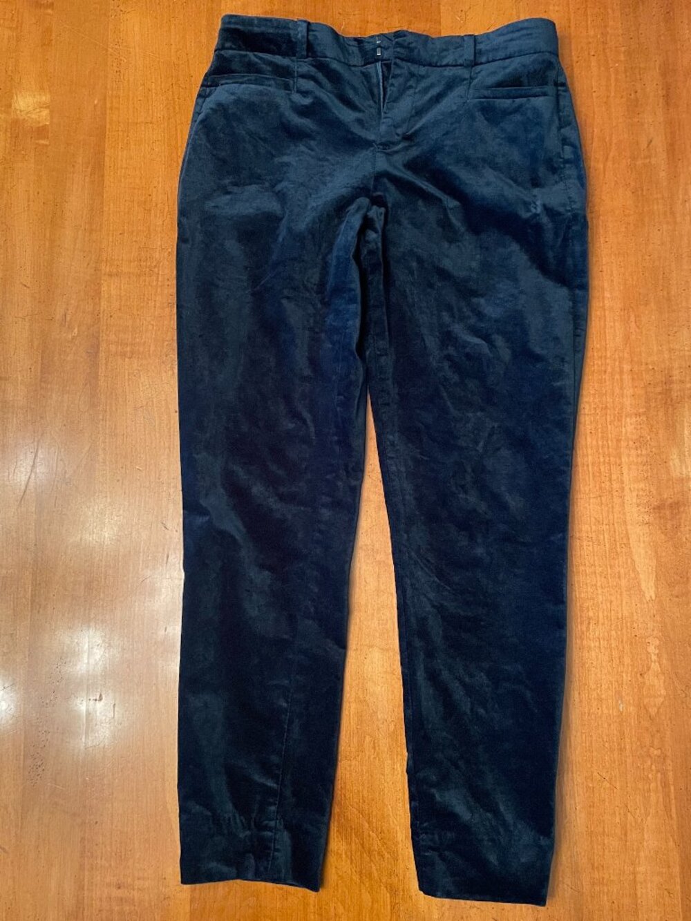 Banana Republic Dark Blue Velvet Pants Size 2 – Soft Luxe Fabric